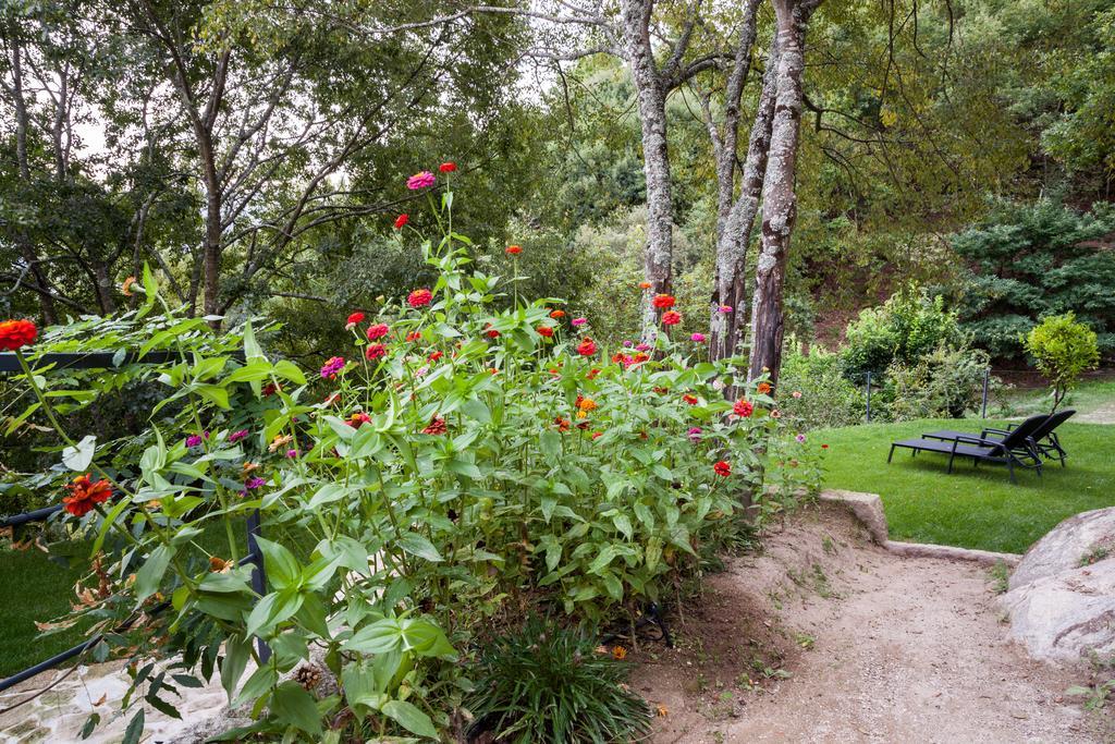 Quinta Da Bouca - Agroturismo Pacos de Gaiolo Room photo
